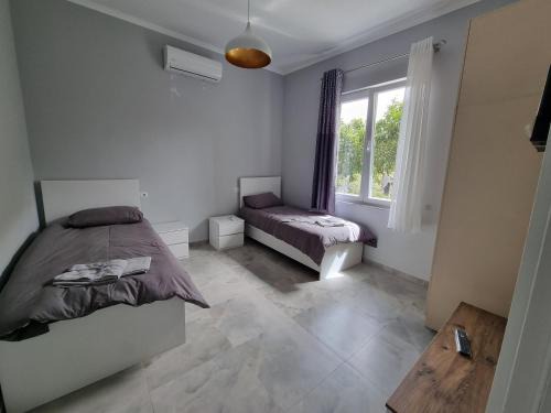 Dentart&Apartments