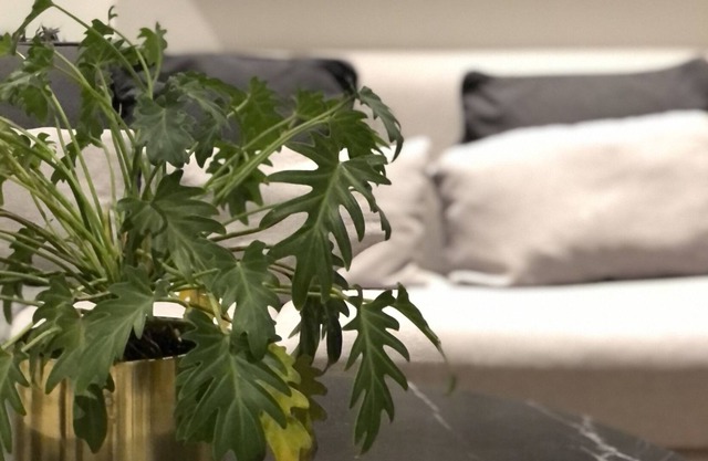 Departamento en Zona Providencia de Guadalajara - Hightower