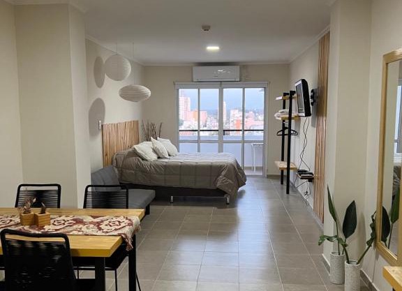 Departamento en zona centro