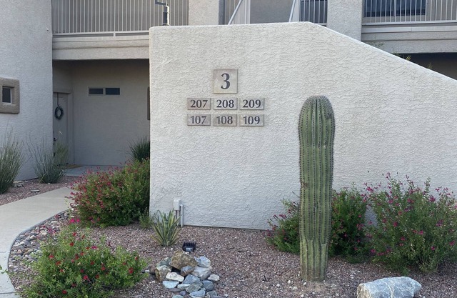 Desert Oasis Casita Just Steps from the Heated Pool & Spa – Oro Valley retreat!