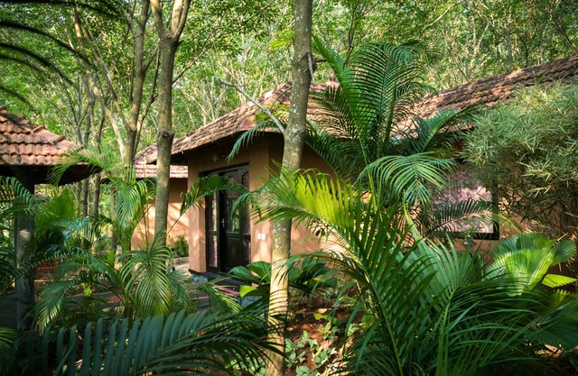 Dicover your retreat & be a new you !