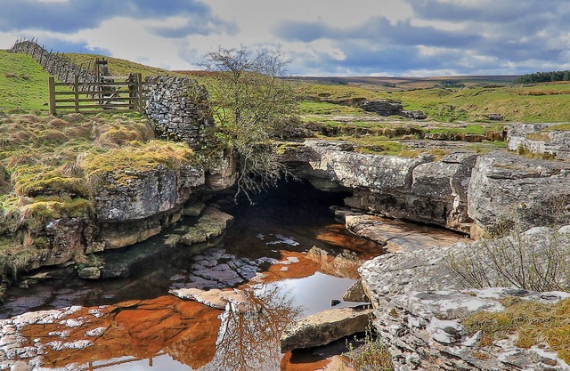 Disability accessible cottage on a working sheep farm.