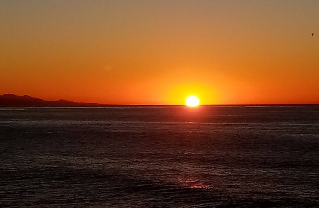 Disconnect by the ocean