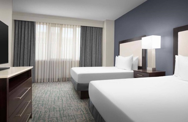 Discover the delights of downtown Dallas