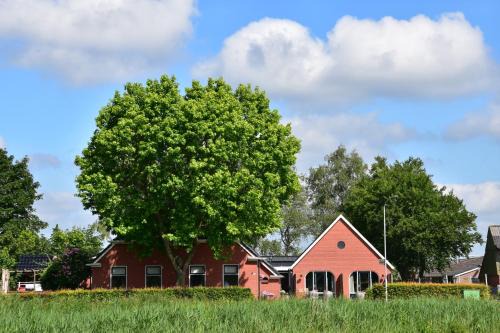 Doezumertocht