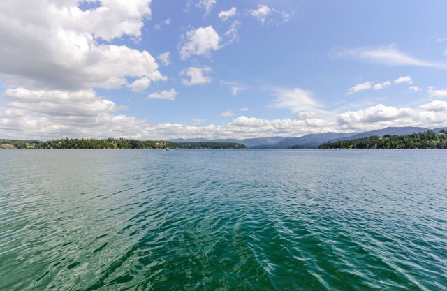 Dog-friendly waterfront cabin w/dock, boat slip, patio, deck & mountain views