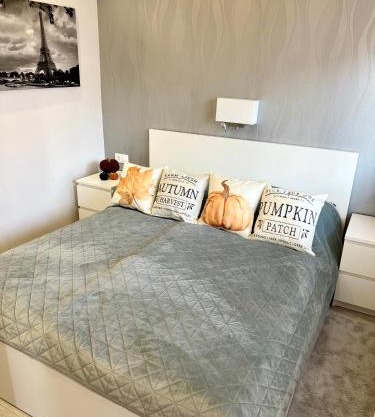 Downtown Dream Apartmans
