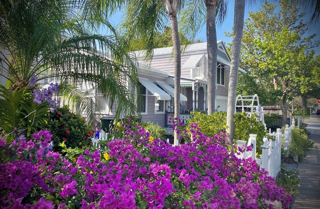 DOWNTOWN LAVENDER HOUSE FARMHOUSE COTTAGE PARROT COVE WALK TO BEACH BARS DINING