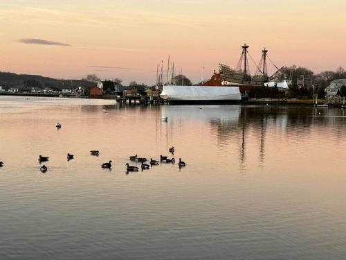 Downtown Mystic Captains House and cottage Water Views