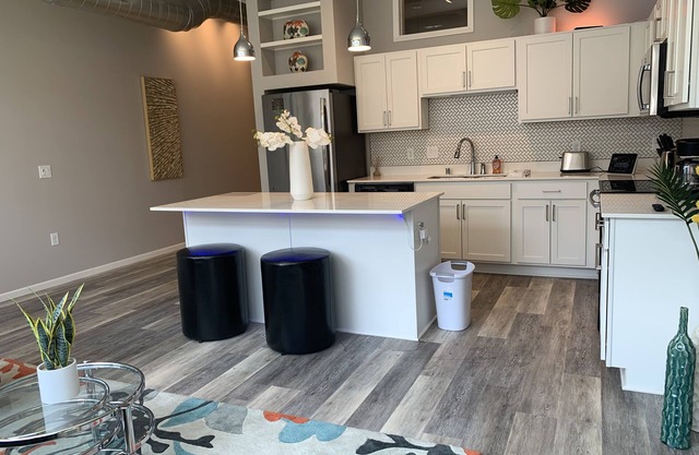 Downtown Saint Paul 1 Bd, 1 Bath Apartment at R7 Lofts