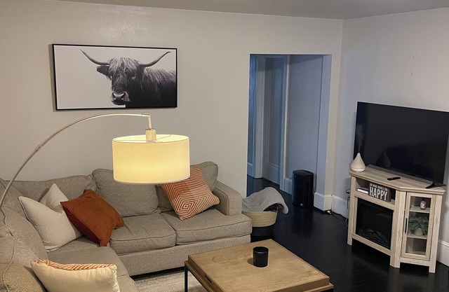 Downtown spacious 3 bedroom
