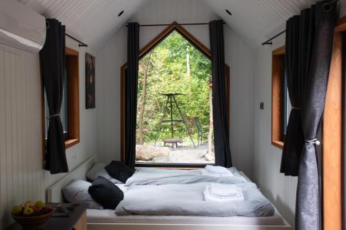 Dragon Glamping