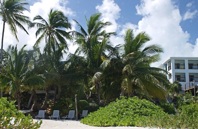 Driftwood First Floor Condo at Hoopers Bay With Stunning Views