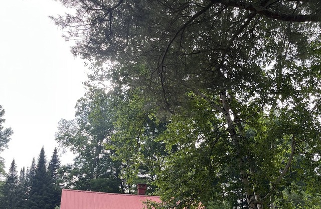 Eagle Bay Park Association on 4th Lake