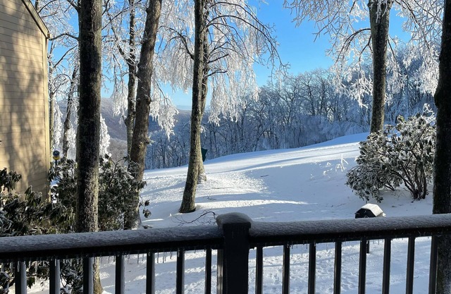 Eagles Court Ski In/Ski Out Condo with Walkable Location & Mountain Views!