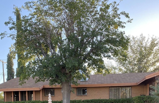 Eastwood area home 1 block away from Album Park