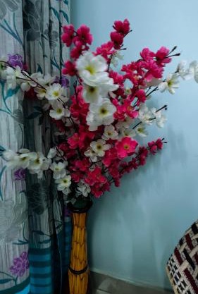Easy View 2Bhk villa
