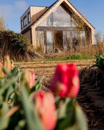 Ecohome Storm 8personen en baby Zeezand Recreatie