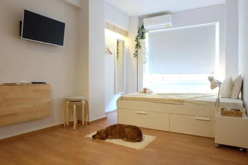 Economy apartment B1 low budget
