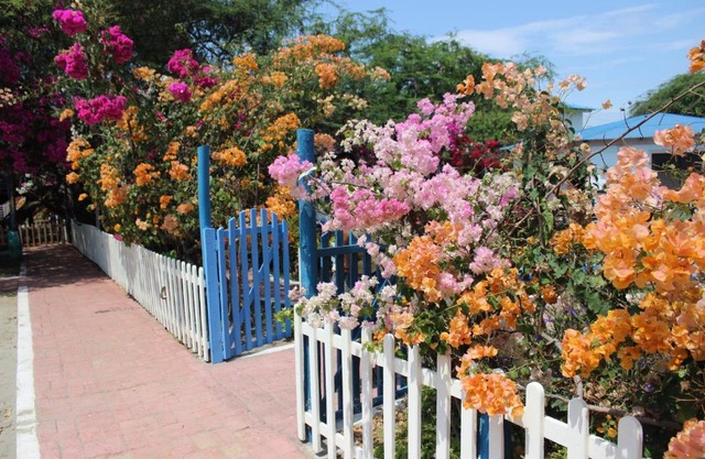El Jardín de Playas