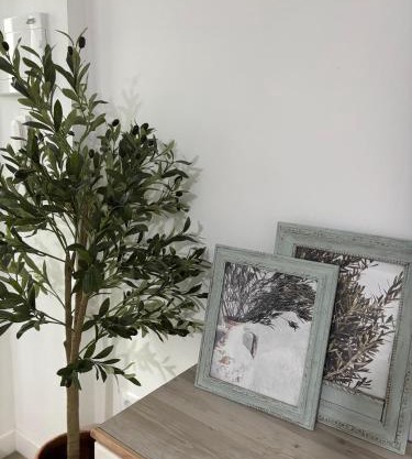 El Olivo Verde
