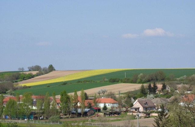 Elas Ferienoase Haus Ketsching