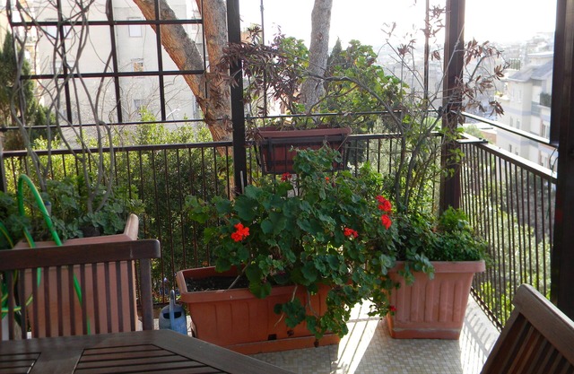 Elegant and spacious, well-furnished apartment with 3 terraces, WiFi-free
