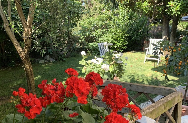 elegant apartment with garden - adjacent historic center and Civil Hospital