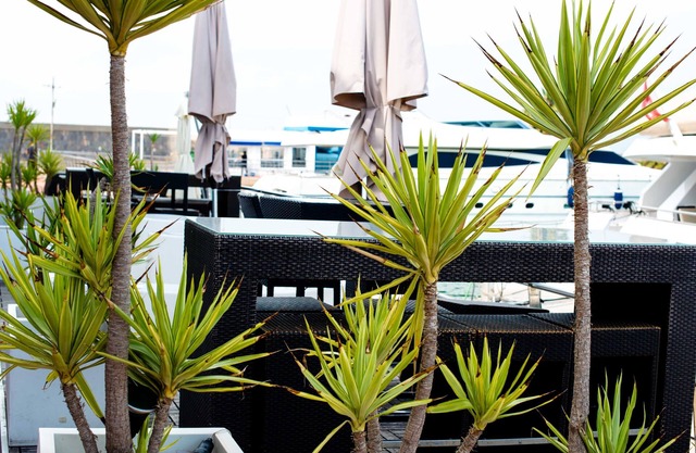 Enjoy a few days on the beach and much more!