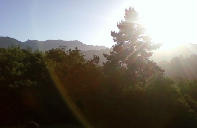 Enjoy a spacious, artistic studio in Nature