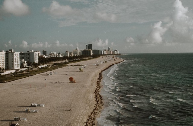 Entire Apartment Steps to sands of Hollywood Beach