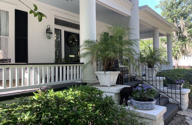 Entire Avondale Mansion- Five Min to Downtown