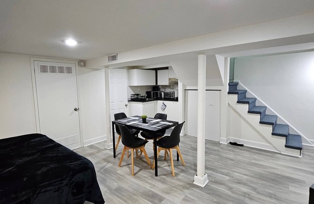 Entire bachelor basement