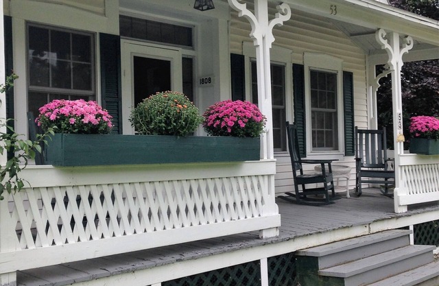 Escape to Mountain Crisp Air and Fall Explosion of Color! Book Early! Pets ok