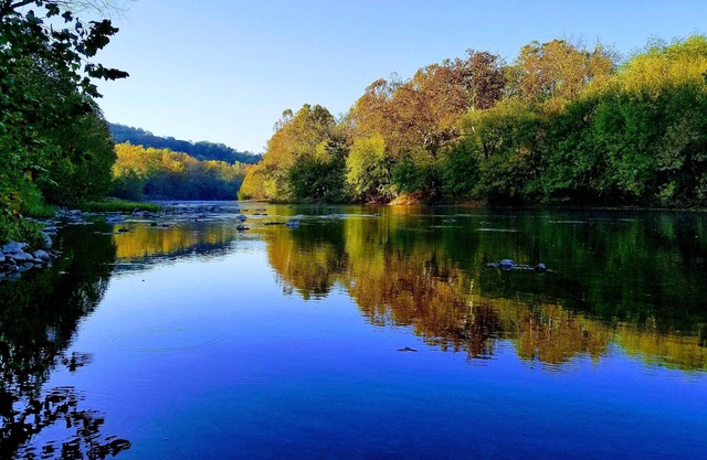 Escape to your cozy 2-bed 2-bath river front cottage near Shenandoah Natl Park