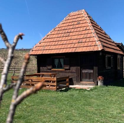 Etno brvnara TAMARA