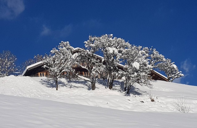 Exceptional authentic chalet with spa and sauna (a nugget away from it all, yet close to it all)