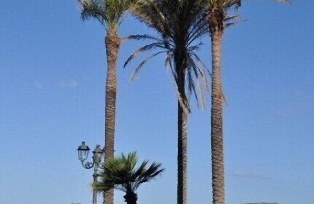 Exceptional Ocean Front Penthouse - In Town And Close To Beach