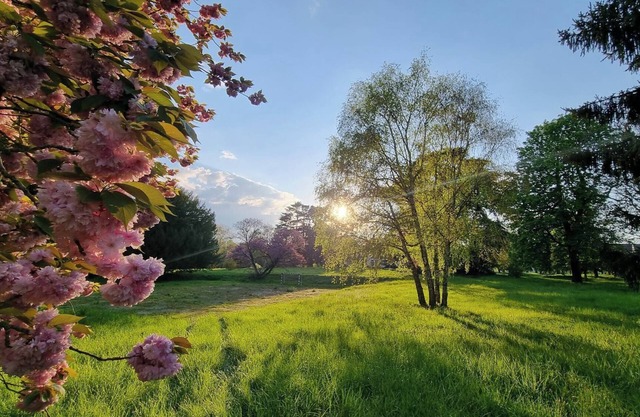 Exceptional pavilion with direct access to the grounds of the Château Royal de Benays