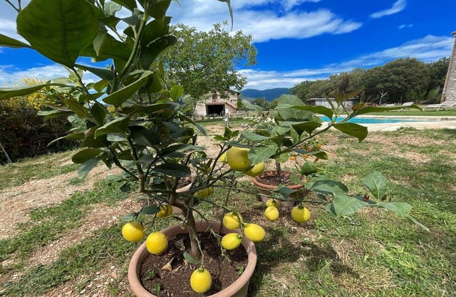 EXCLUSIVE POOL-OPEN ALL YEAR/SHOPS, BARS 1 KM/WIFI/ROME 1 HR/SPOLETO 5 KMS