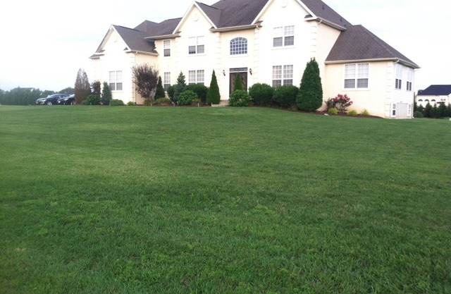 Executive Home 6,000 SQFT With Theatre Room And Large Yard