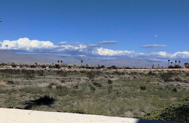 Experience the Ultimate Desert Oasis at Ayr Home
