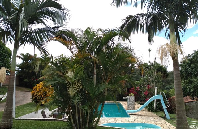 Experience tranquillity at Chácara Bicho Preguiça: your perfect natural refuge!