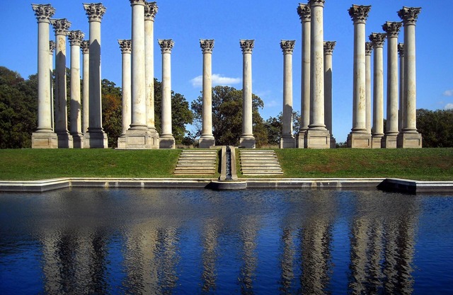 Explore DC History from 3 Spacious Units | Walk to Capitol & Museums Nearby