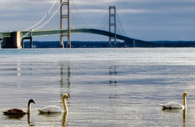 Fall color dates, Lots of space for Upper Peninsula getaway. Book October now