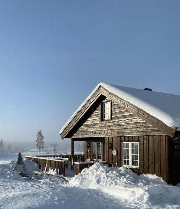 Family Cabin With Ski Inout At Furutangen