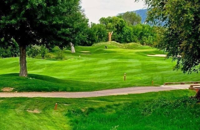 Family-friendly Golf Course Home near Purgatory. Hot Tub, BBQ. April Special.