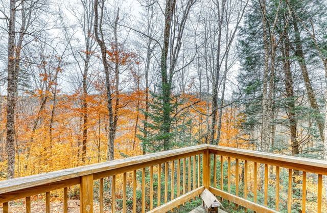 Family home w/ sauna & deck - close to skiing and lakes!