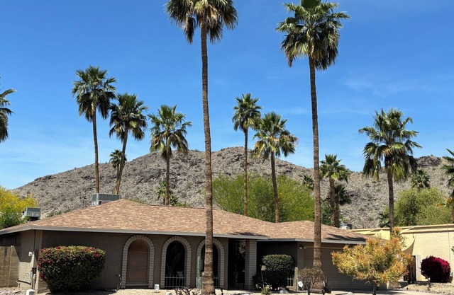 Family oasis with heated pool, desert landscaping and South Mountain views.