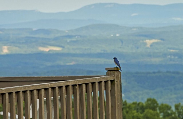 Fancy Gap Va overlooking Pilot Mountain, fantastic seven county views. Amazing